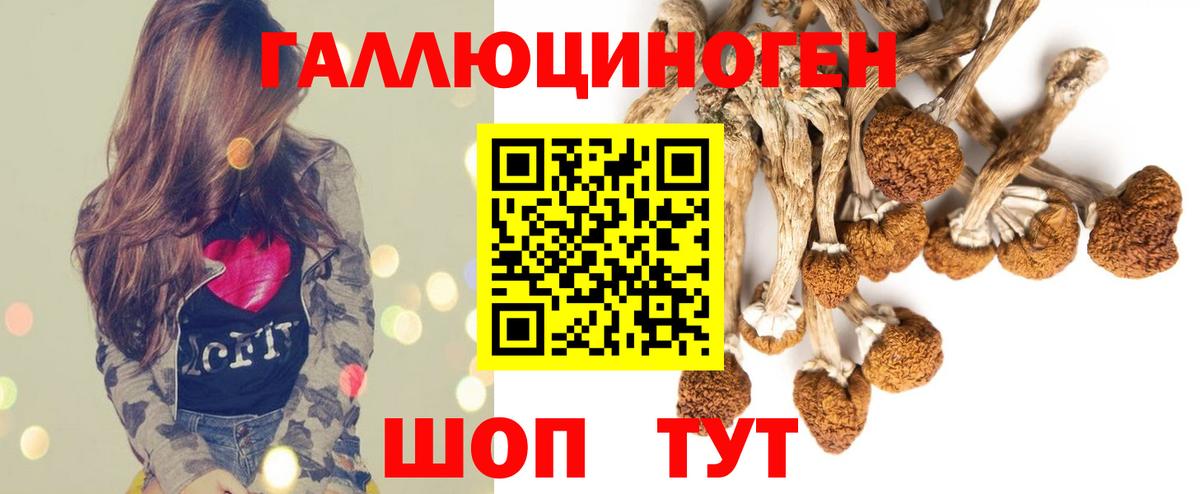 Галлюциногенные грибы ЛСД Новоалександровск