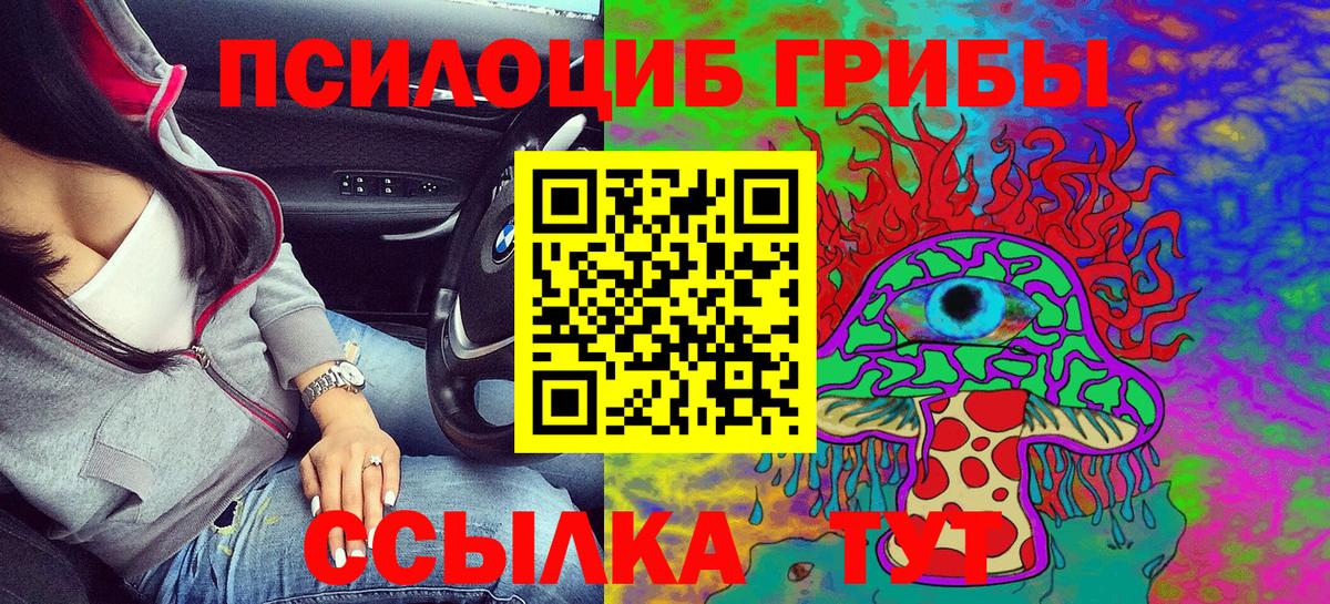 Псилоцибиновые грибы Psilocybe  Псилоцибиновые грибы GOLDEN TEACHER  как найти наркотики  Вход с VPN  Новоалександровск 